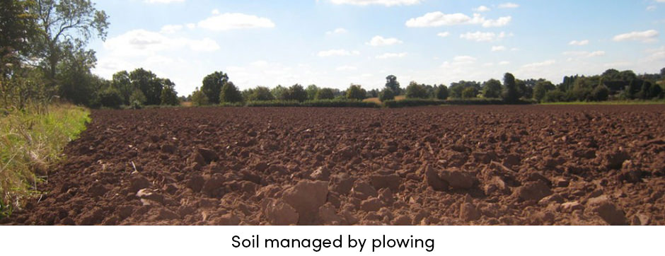 Cày – Một Trang Bị Nông Trại Phải Có