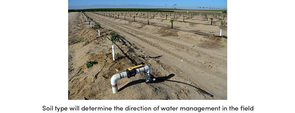 4 sự thật thực tế mà mọi nông dân nên biết