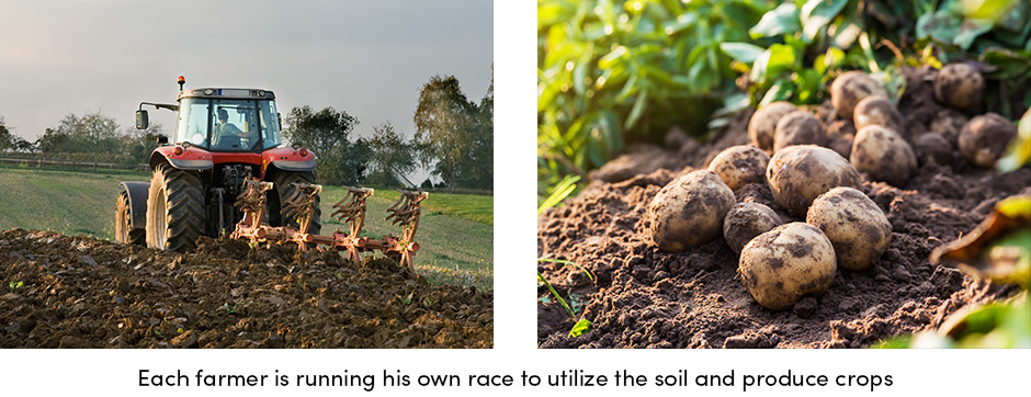 5 lý do tại sao nông dân nên để mắt đến việc bán hàng