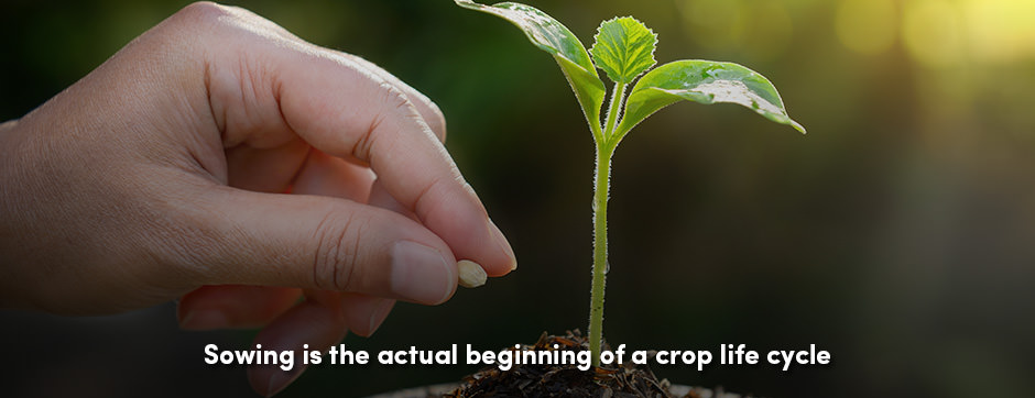 Cày Trước Khi Gieo: Bí Quyết Gieo Thành Công