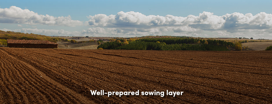 Cày Trước Khi Gieo: Bí Quyết Gieo Thành Công