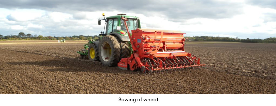 Thực tiễn đánh dấu sự khởi đầu của vòng đời cây trồng canh tác