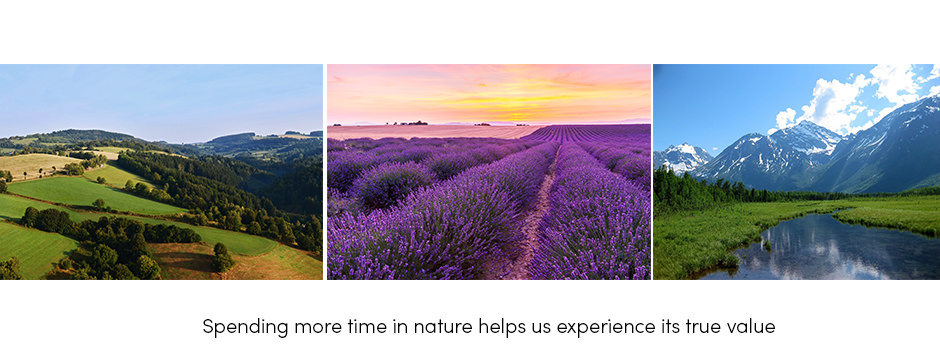 Cách tiếp cận bền vững là một cách duy nhất để kết nối các hoạt động thực hành trang trại với thiên nhiên