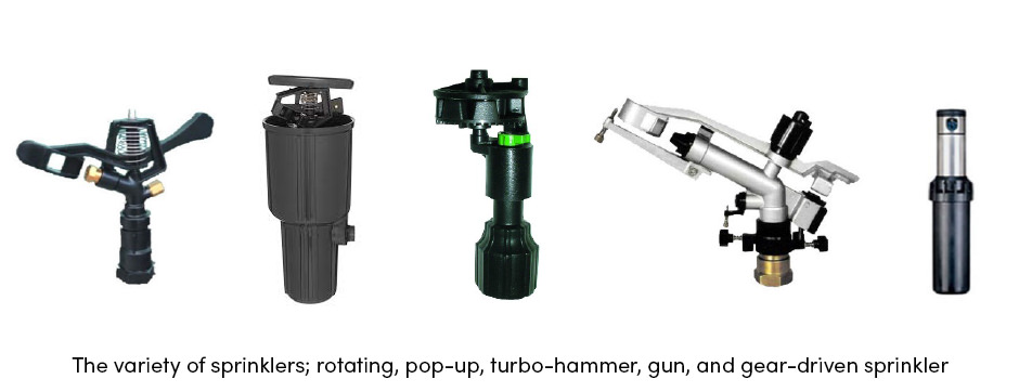 Tưới phun mưa: Tại sao những người nông dân thành công lại sử dụng nó