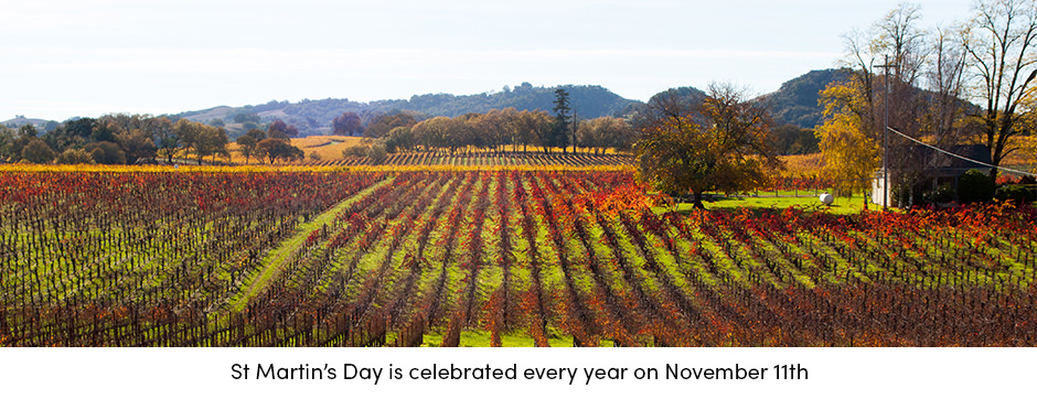 Các yếu tố chính để sản xuất rượu vang thành công