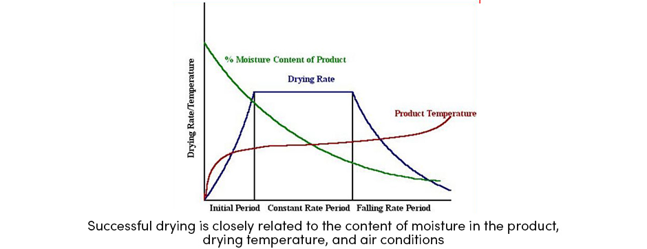 Sấy khô là một quy trình chính trong công nghệ sau thu hoạch