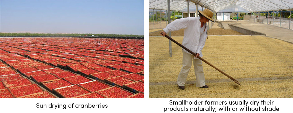 Sấy khô là một quy trình chính trong công nghệ sau thu hoạch