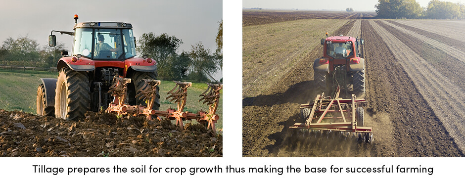 Tăng năng suất của bạn bằng cách lập kế hoạch làm đất