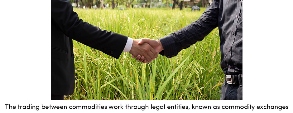 Mọi điều Nông dân nên biết về giao dịch hàng hóa