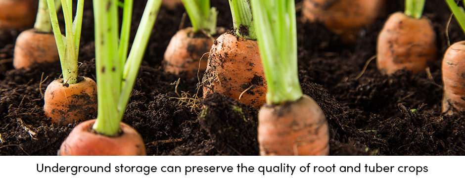 Phương pháp lưu trữ chi phí thấp như một giải pháp thay thế cho nông dân sản xuất nhỏ