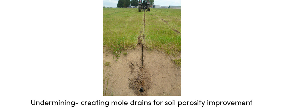 Máy cày Mole: Công cụ cần thiết để cải thiện độ xốp của đất