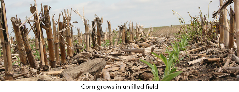 Canh tác không làm đất; Một bước tiến gần hơn đến sự bền vững