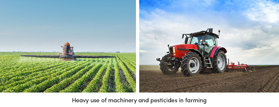 Bạn đã sẵn sàng mạo hiểm với ô nhiễm toàn cầu để đạt được mục tiêu không còn nạn đói?