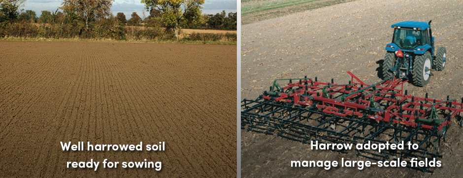 Bừa đất: Một phương pháp hoàn thiện luống gieo hạt dẫn đến canh tác thành công