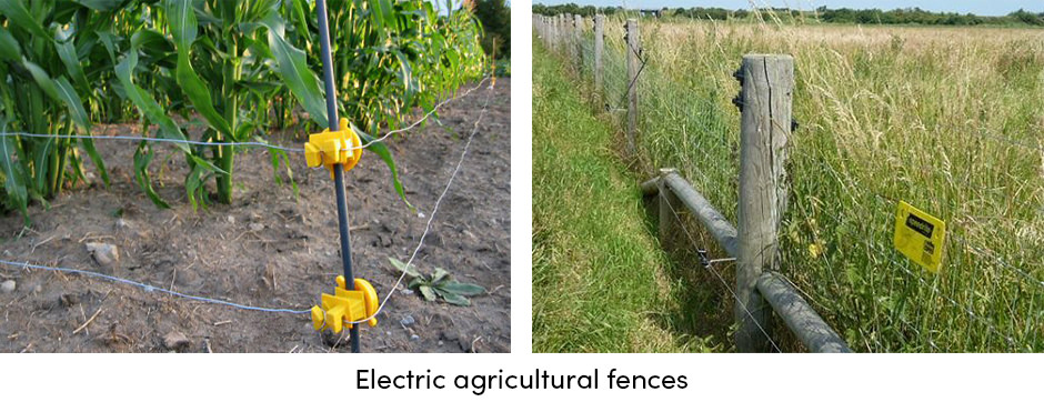 Năm chiến lược hàng đầu để bảo vệ mùa màng khỏi động vật hoang dã