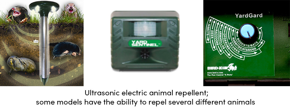 Năm chiến lược hàng đầu để bảo vệ mùa màng khỏi động vật hoang dã