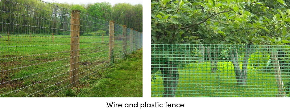 Năm chiến lược hàng đầu để bảo vệ mùa màng khỏi động vật hoang dã