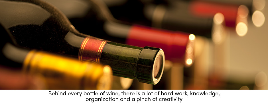 Các yếu tố chính để sản xuất rượu vang thành công