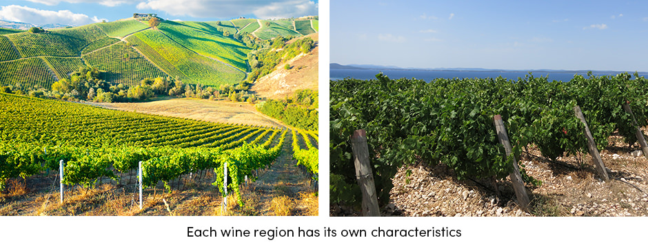 Các yếu tố chính để sản xuất rượu vang thành công