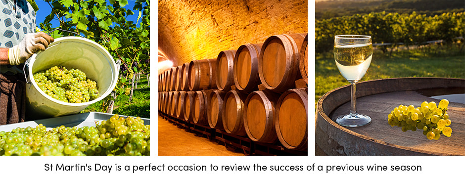 Các yếu tố chính để sản xuất rượu vang thành công