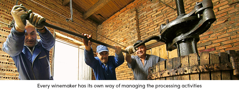 Các yếu tố chính để sản xuất rượu vang thành công