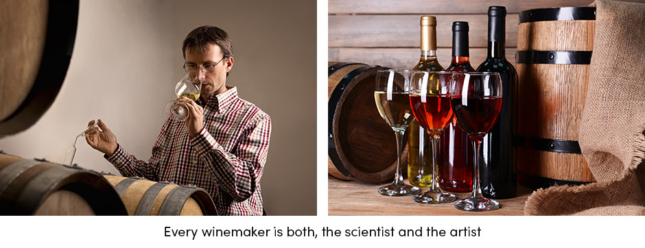 Các yếu tố chính để sản xuất rượu vang thành công