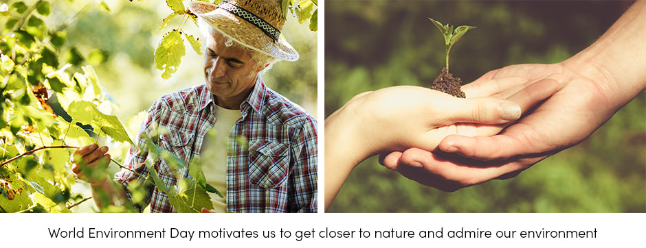 Cách tiếp cận bền vững là một cách duy nhất để kết nối các hoạt động thực hành trang trại với thiên nhiên