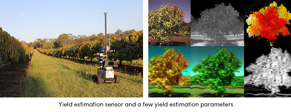 Làm cách nào để thu được nhiều loại cây trồng có giá trị cao hơn bằng cách sử dụng bản đồ năng suất?