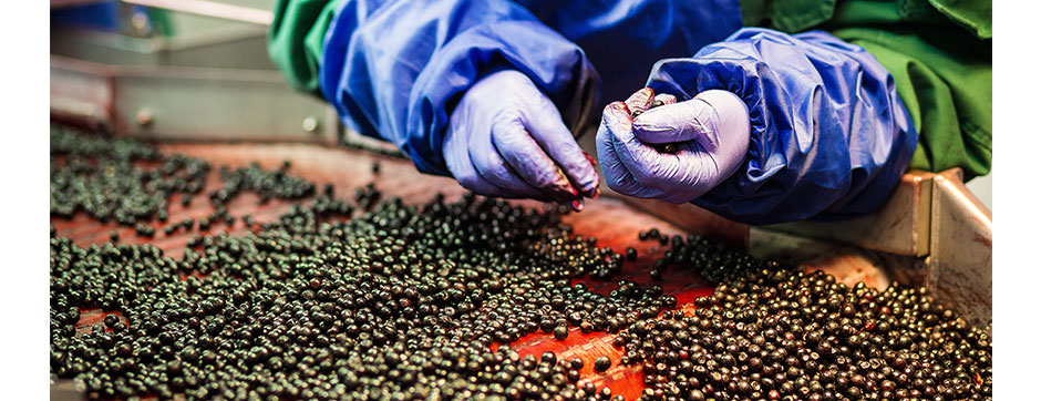 Một vấn đề chính trong quản lý chuỗi cung ứng