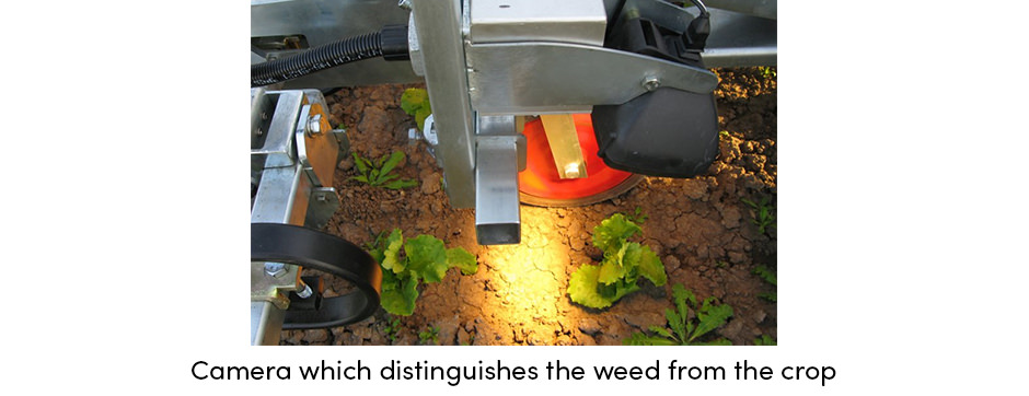 Kiểm soát cỏ dại bằng cuốc chính xác