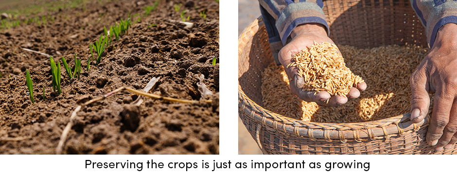 Điều gì làm cho phơi nắng trở thành một thực hành trang trại có giá trị?