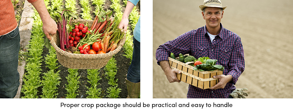 Tiết lộ nhiều khả năng của bao bì cây trồng