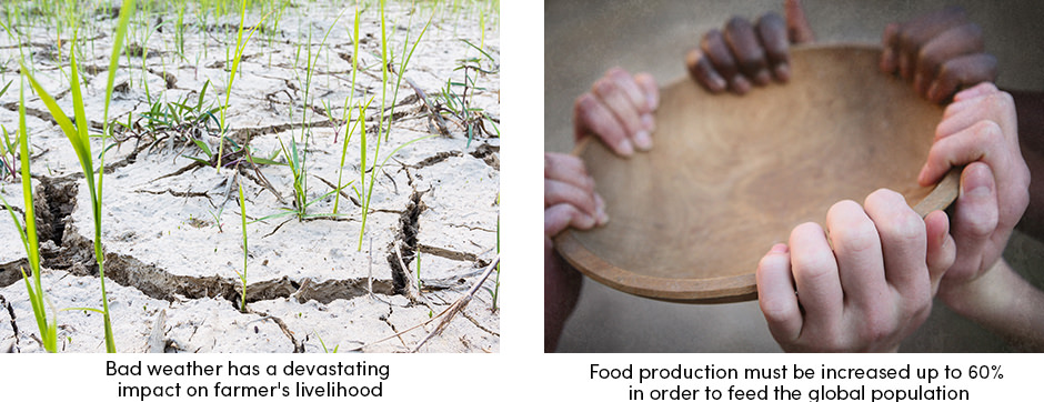 Quản lý bảo hiểm thông minh với lập chỉ mục thời tiết
