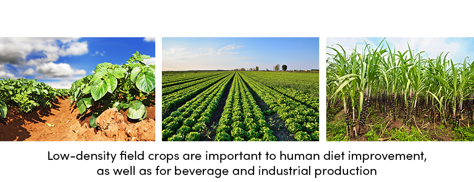 Sự đa dạng của máy móc để gieo trồng cây trồng trên cánh đồng mật độ thấp