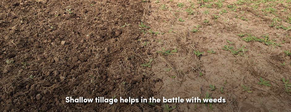 Cày nông như một thực hành trang trại đáng ngờ