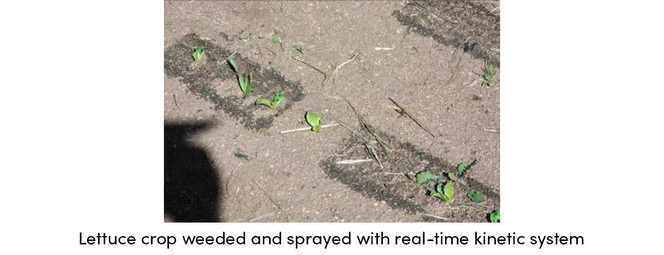 Kiểm soát cỏ dại bằng cuốc chính xác