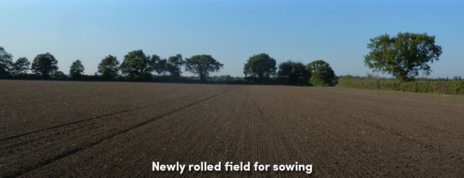 Lăn đất – một quyết định tốt cho trang trại hay phân chia tổng năng suất?