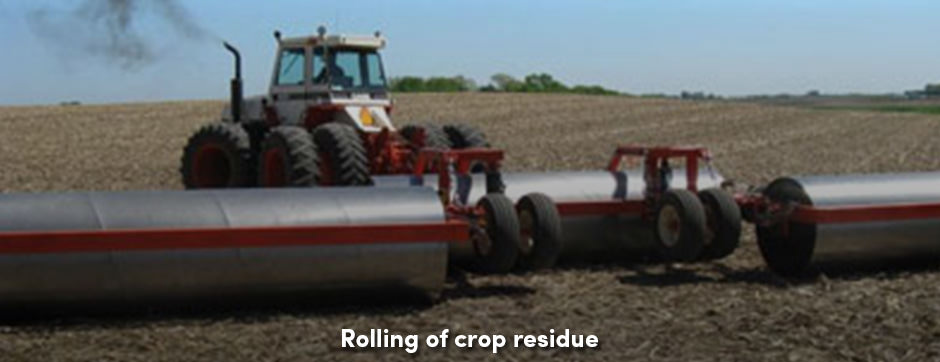 Lăn đất – một quyết định tốt cho trang trại hay phân chia tổng năng suất?