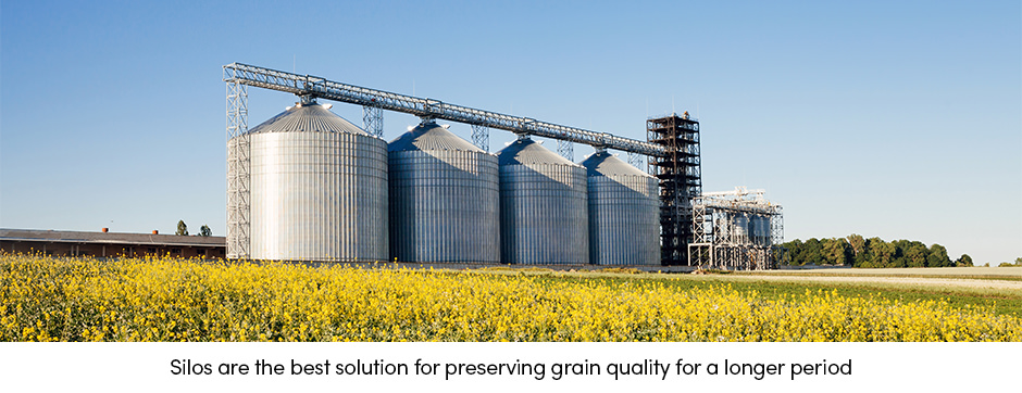 Nghệ thuật quản lý chất lượng hạt với silo