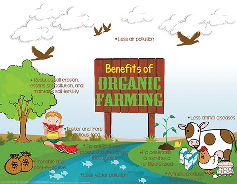 Nông dân truyền thống có quan tâm đến thực hành hữu cơ không?