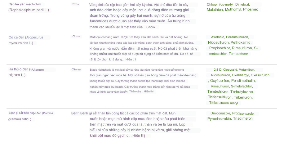 Bảo vệ dịch hại kịp thời