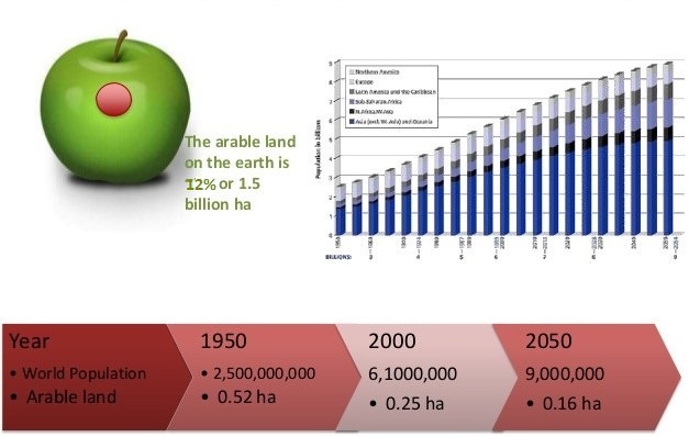 Mất đất canh tác đe dọa nguồn cung lương thực thế giới