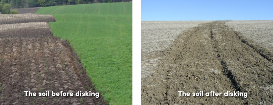 5 lý do tại sao bạn nên đưa đĩa vào làm đất