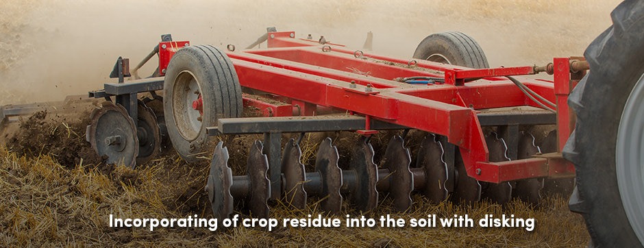 5 lý do tại sao bạn nên đưa đĩa vào làm đất