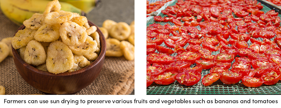 Điều gì làm cho phơi nắng trở thành một thực hành trang trại có giá trị?