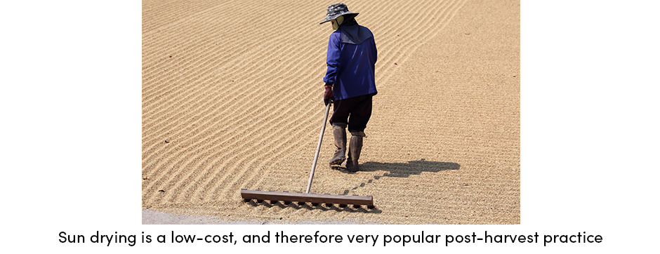 Điều gì làm cho phơi nắng trở thành một thực hành trang trại có giá trị?