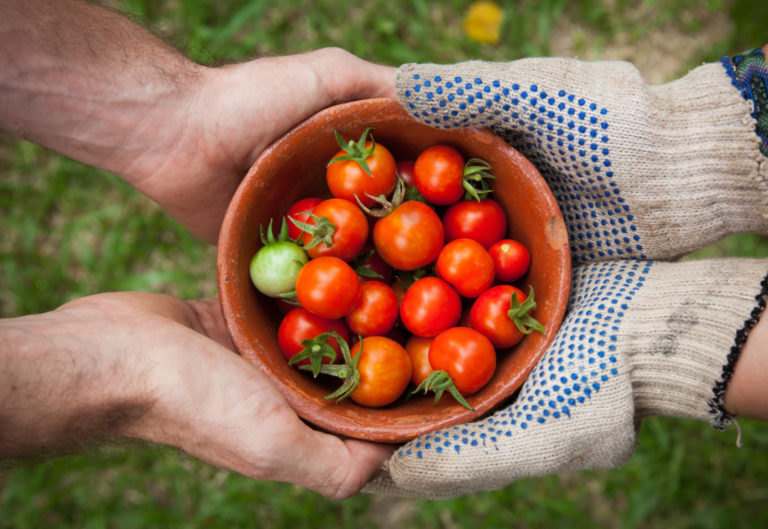 Có phải coronavirus đã thay đổi việc mua sắm hàng tạp hóa mãi mãi?