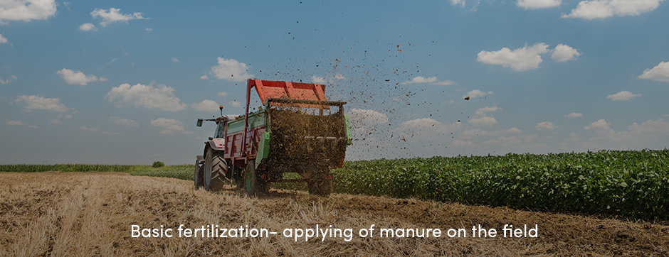 Khái niệm cơ bản về quản lý dinh dưỡng thực vật