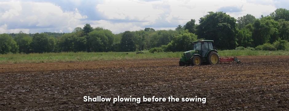 Cày nông như một thực hành trang trại đáng ngờ