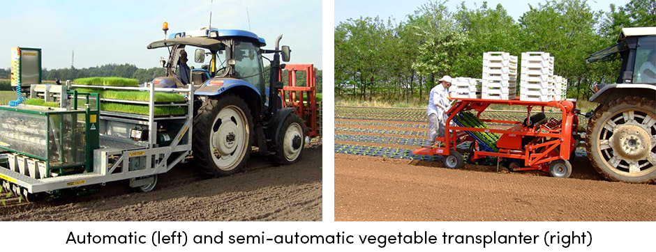 Sự đa dạng của máy móc để gieo trồng cây trồng trên cánh đồng mật độ thấp